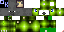 Texture for dino