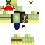 Texture for turtwig