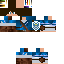 Texture for ThePlatnumKnight