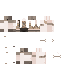 Texture for t