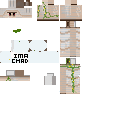 Texture for CHAD