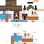 Texture for Fixed HST