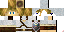 Texture for White Link