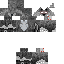Texture for Army player skin