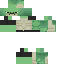 Texture for WOWO THE TURTLE
