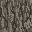 Texture for Acacia Log