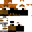 Texture for orange_waish