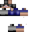 Texture for Flashh95 ( vrai )