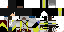 Texture for master ninja