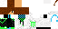 Texture for felox2