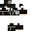 Texture for ds