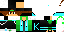 Texture for bram500