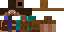 Texture for Homeless Steve