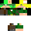 Texture for robin hood narutu