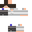 Texture for Leo2iin