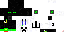 Texture for Enderman