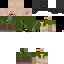 Texture for литц