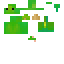 Texture for para + keet = parakeet