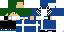 Texture for ender