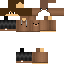 Texture for test_skin_2016