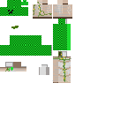 Texture for creeper golem