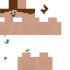 Texture for Arsun23