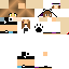 Texture for bianca panda
