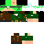 Texture for robin hood skin