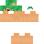 Texture for template