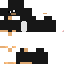 Texture for penguin