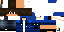 Texture for ibisbuget