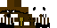 Texture for Neutron