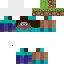 Texture for Steve