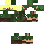 Texture for Protx