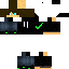 Texture for steve