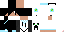 Texture for maxxxx