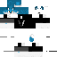 Texture for SrVitor_