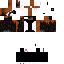 Texture for Noobet