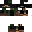 Texture for ISIS