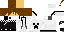 Texture for FLOCO
