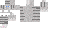 Texture for Siamese Cat