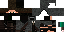 Texture for Nivas-NINJA