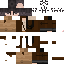 Texture for sd