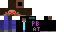 Texture for max009