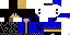 Texture for Phantom-X