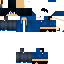 Texture for STSPARROWHUNTER