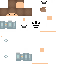 Texture for Nanoplecx