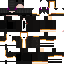 Texture for Vynn Vilner