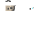 Texture for Advisor