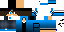 Texture for pucasmisa